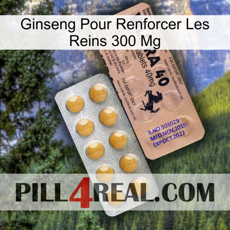 Ginseng For Reinforcing Kidney 300 Mg 41